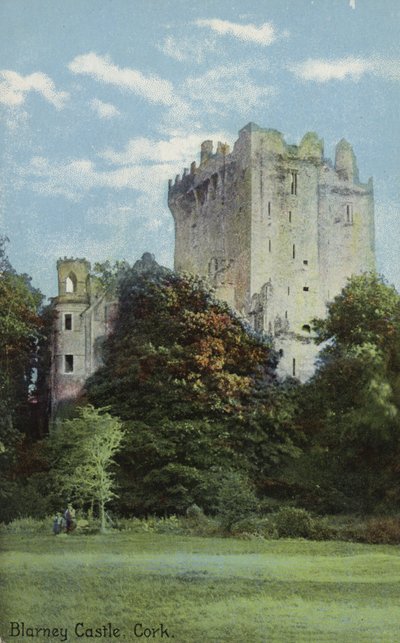 Blarney Castle, Cork by Irish Photographer